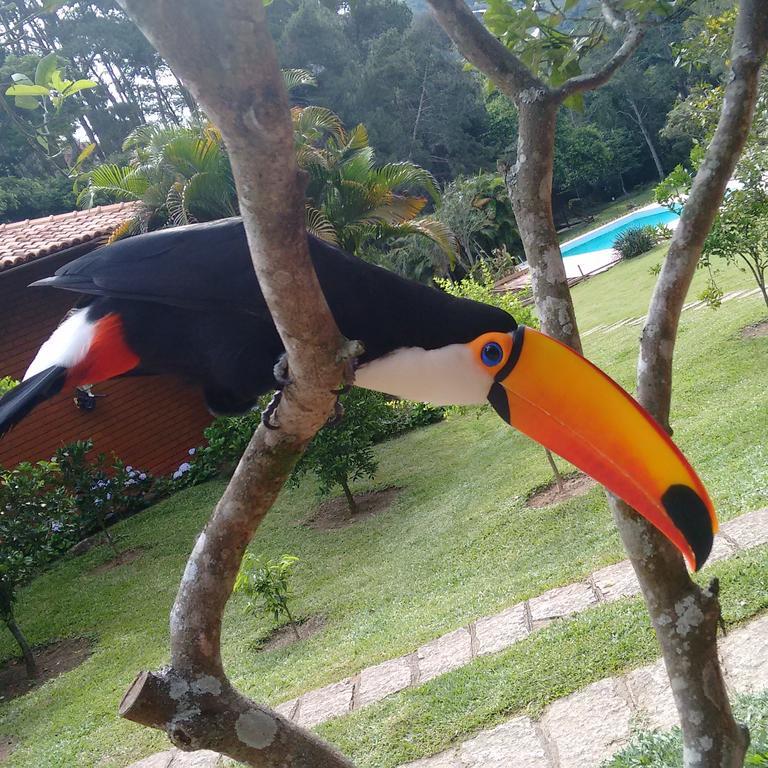 Pousada Tucano Do Cuiabá Itaipava Exterior foto