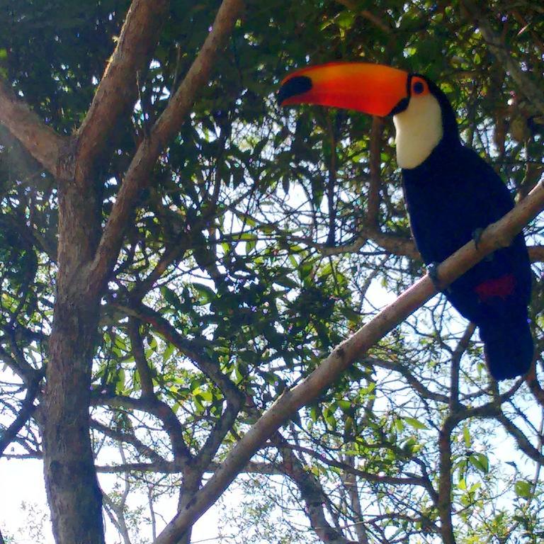 Pousada Tucano Do Cuiabá Itaipava Exterior foto